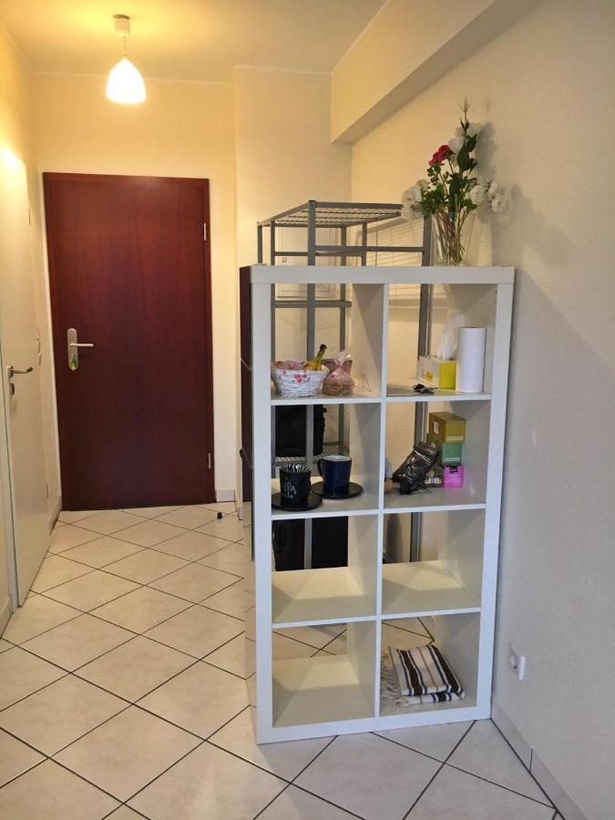 Cozy Studio Apart - King Bed - Netflix - Projector - Fast Wi-Fi Luxembourg Bagian luar foto